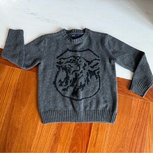 Gap Boys Lion Graphic Design Sweater Kids Top Size S 6 /?7 Sweatshirt